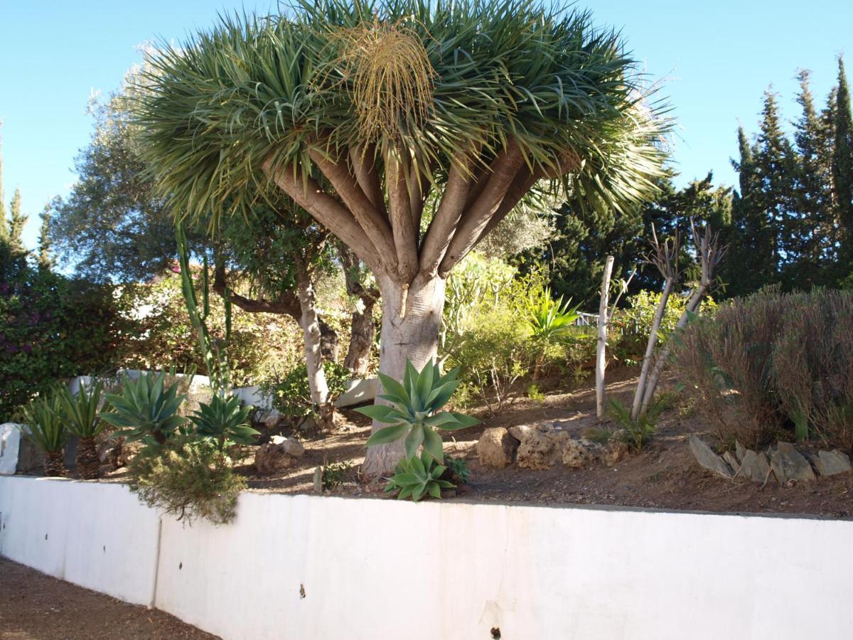 Ferienhaus Acogedora Y Amplia Con Piscina